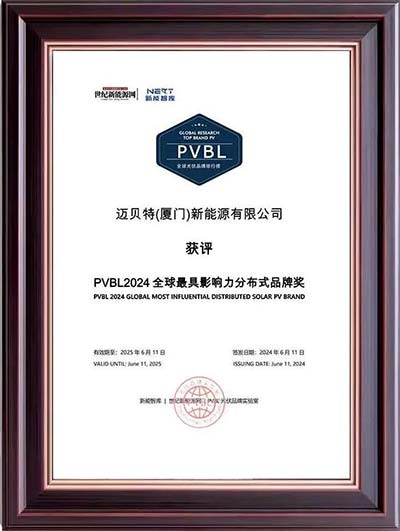 oety欧亿体育PVBL2024全球最具影响力分布式品牌奖奖牌